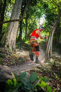 BIB: 
                            <button type="button" onclick="openModal(7027987)" class="btn btn-primary btn-sm float-right btn-popup" data-toggle="modal" data-target=".modal-high-quality">
                        <i class="fas fa-shopping-cart"></i> Add to Cart
                    </button>
                                            <button type="button" onclick="isThisMe(7027987, true)" class="btn btn-success btn-sm float-right btn-popup btn-isme hidden" data-toggle="tooltip" data-placement="bottom" title="นี่คือรูปของคุณใช่ไหม คลิกที่นี่เพื่อเอาเข้าอัลบั้ม">
                        <i class="fas fa-plus"></i> Add to album
                    </button>
                    <button type="button" onclick="isThisMe(7027987, false)" class="btn btn-warning btn-sm float-right btn-popup btn-isnotme hidden">
                        <i class="fas fa-ban"></i> Remove from album
                    </button>